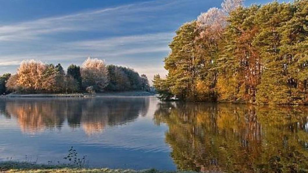 Tranquil Accommodation In A Great Location. Lanark Εξωτερικό φωτογραφία